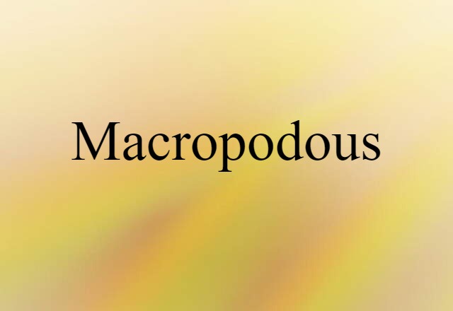 Macropodous (noun) Definition, Meaning & Examples