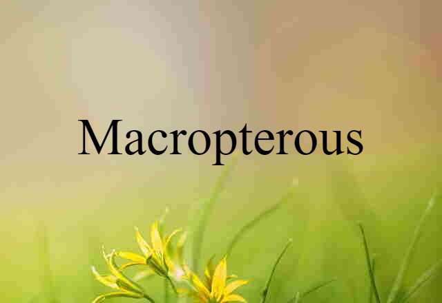 macropterous