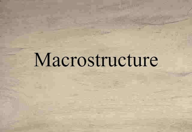 Macrostructure (noun) Definition, Meaning & Examples