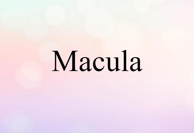 Macula (noun) Definition, Meaning & Examples