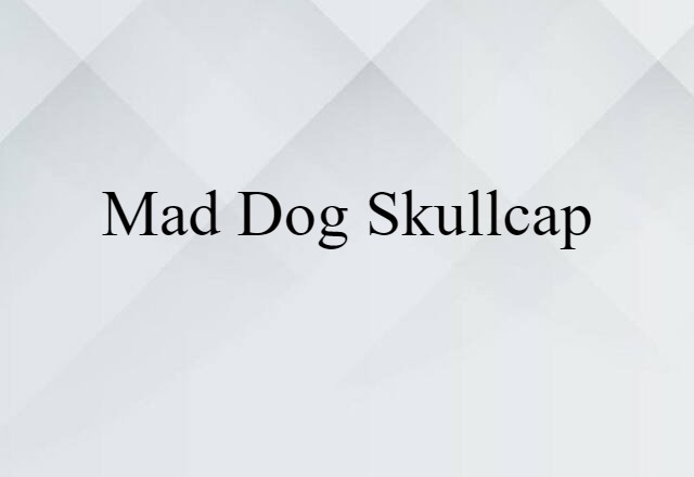 Mad-dog Skullcap (noun) Definition, Meaning & Examples