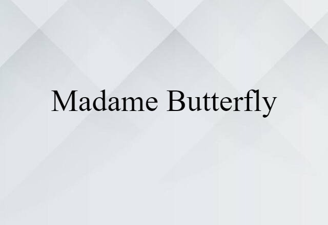 Madame Butterfly (noun) Definition, Meaning & Examples