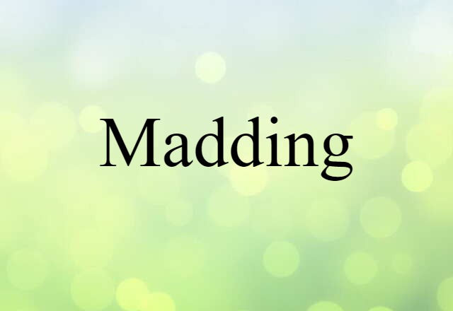 Madding (noun) Definition, Meaning & Examples