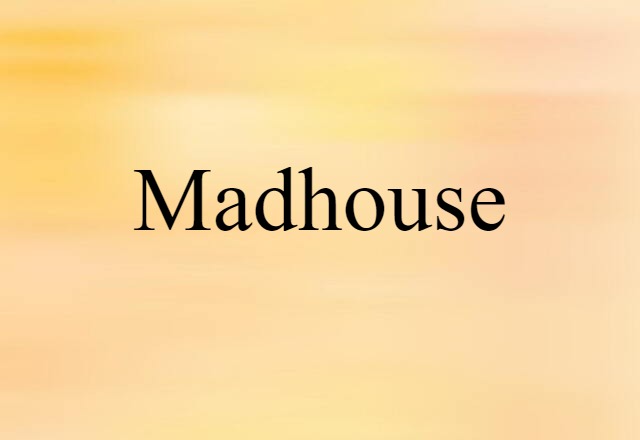 Madhouse (noun) Definition, Meaning & Examples