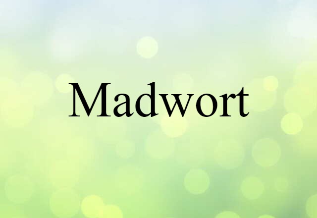 Madwort (noun) Definition, Meaning & Examples