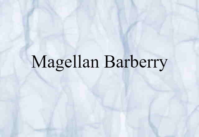 Magellan Barberry (noun) Definition, Meaning & Examples