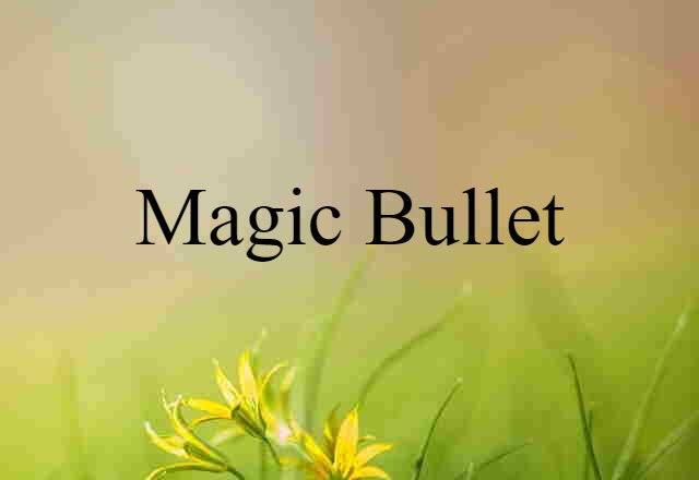 magic bullet