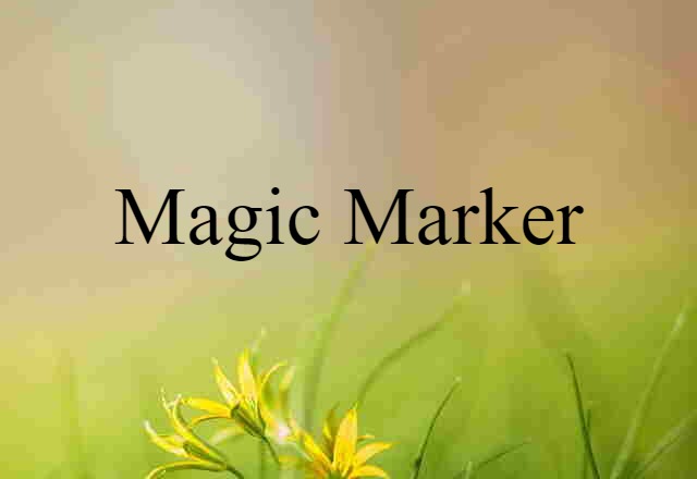 Magic Marker (noun) Definition, Meaning & Examples