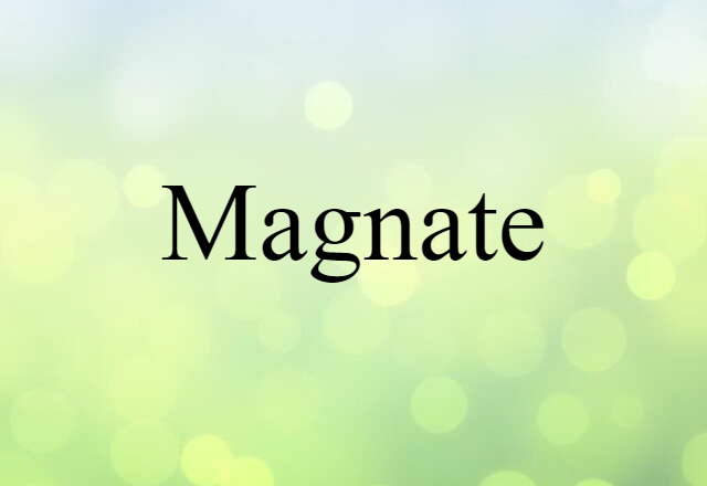 Magnate (noun) Definition, Meaning & Examples