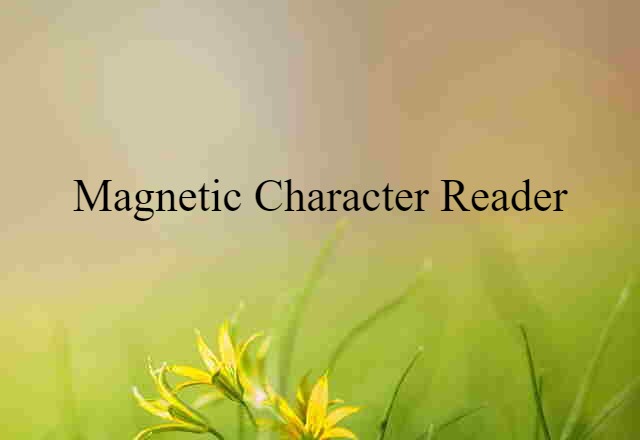 magnetic character reader