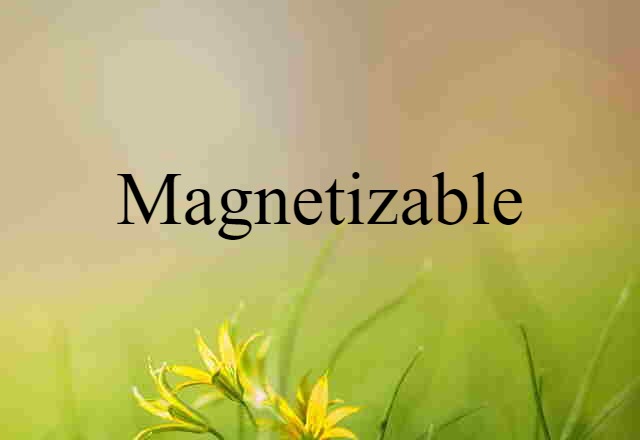 magnetizable