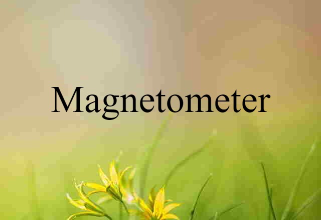 Magnetometer (noun) Definition, Meaning & Examples