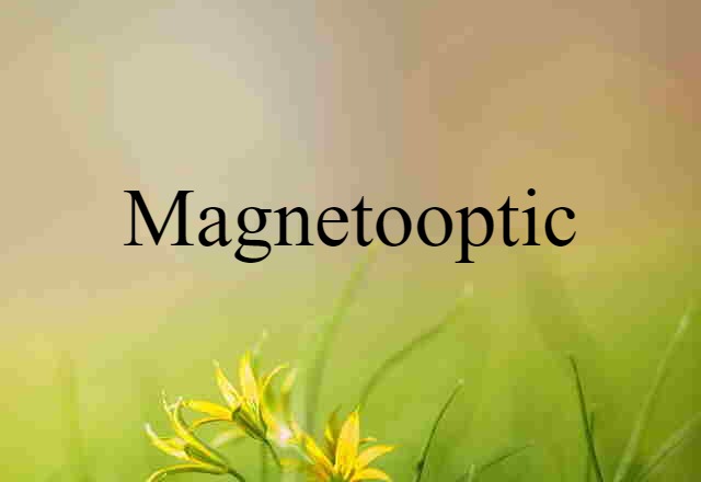 Magnetooptic (noun) Definition, Meaning & Examples