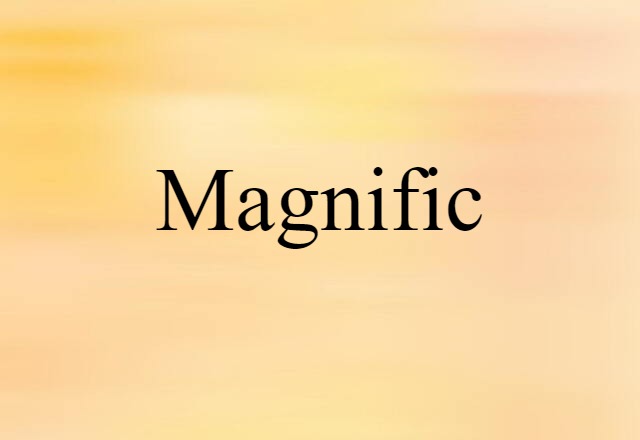 Magnific (noun) Definition, Meaning & Examples