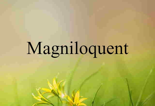 Magniloquent (noun) Definition, Meaning & Examples