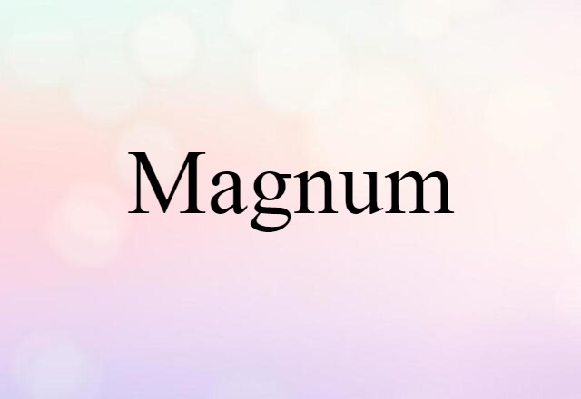 Magnum (noun) Definition, Meaning & Examples