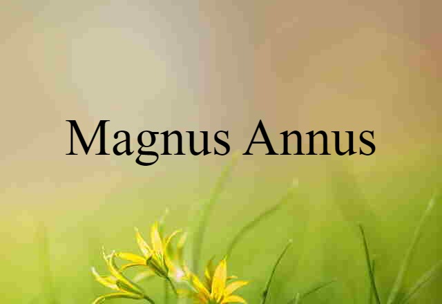 Magnus Annus