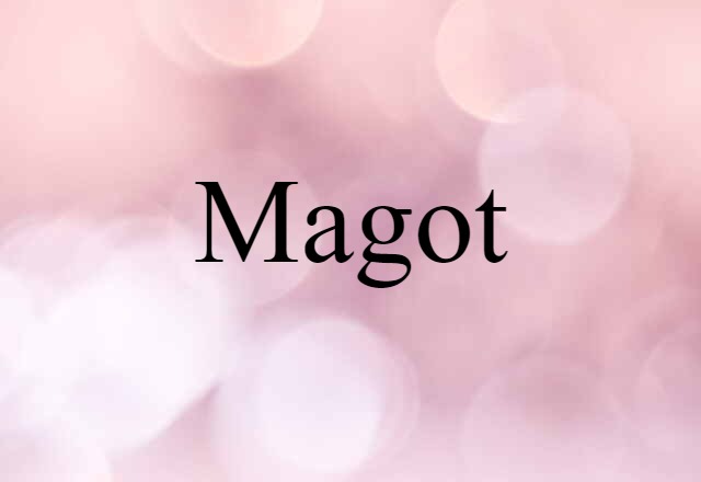 Magot (noun) Definition, Meaning & Examples