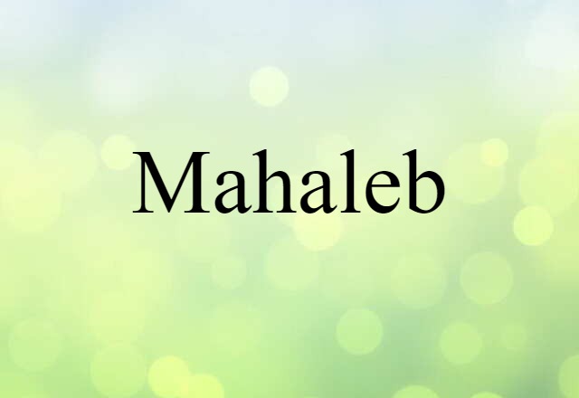 mahaleb