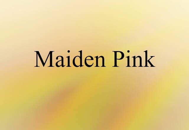 maiden pink