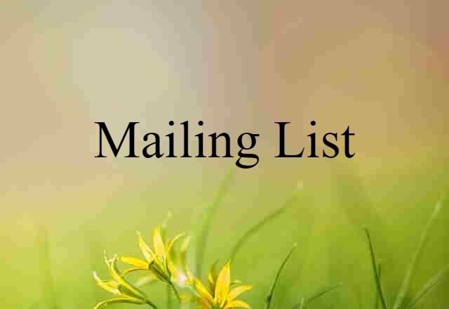 Mailing List (noun) Definition, Meaning & Examples