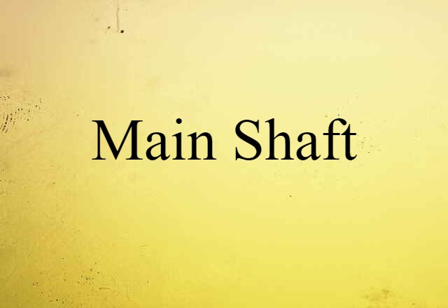 Main Shaft (noun) Definition, Meaning & Examples