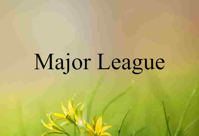 Major League (noun) Definition, Meaning & Examples