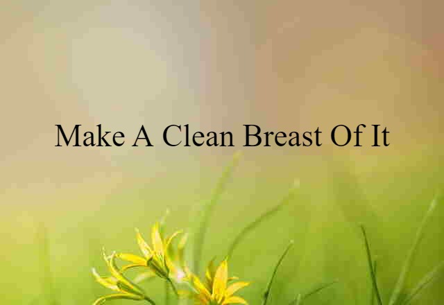 make a clean breast of it