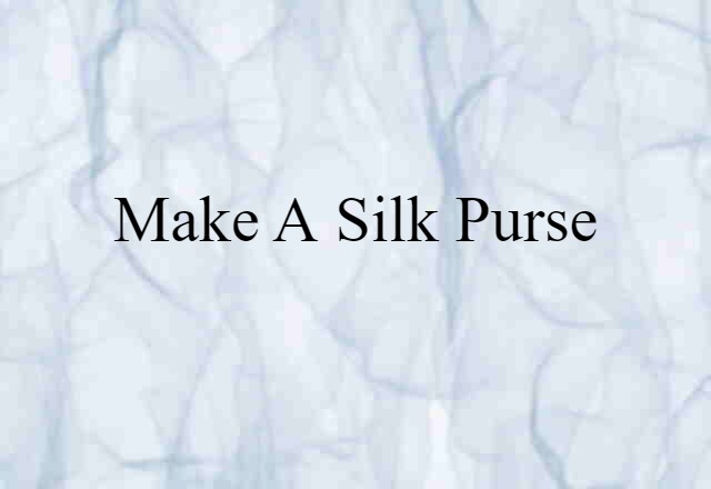 Make A Silk Purse (noun) Definition, Meaning & Examples