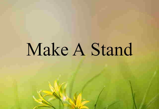 Make A Stand (noun) Definition, Meaning & Examples