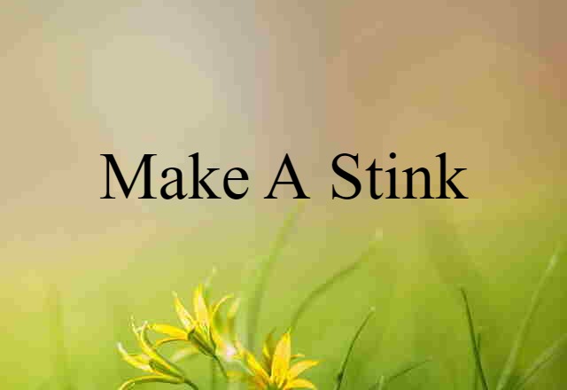 make a stink