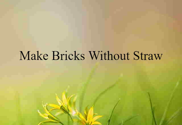 make bricks without straw