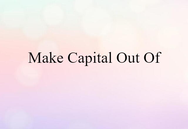 Make Capital Out Of (noun) Definition, Meaning & Examples