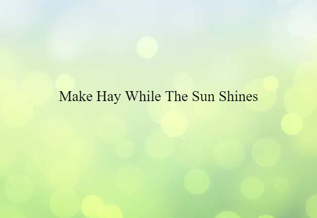 Make hay while the sun shines