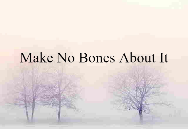 make no bones about it