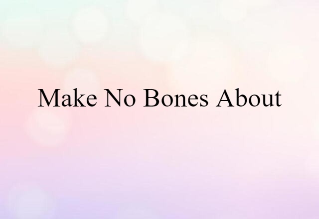 make no bones about