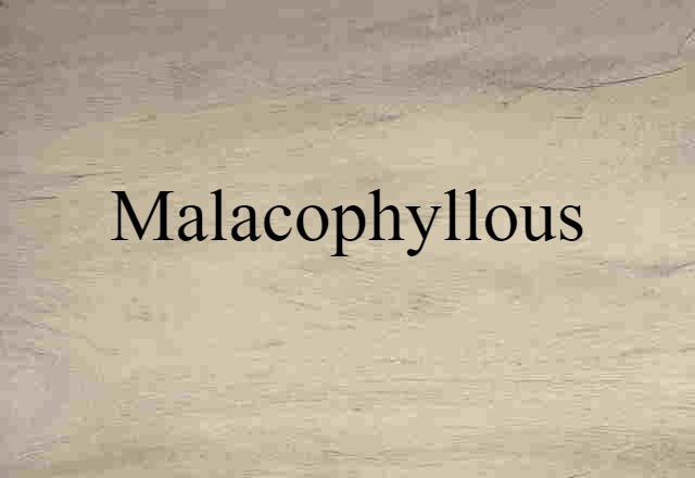 malacophyllous