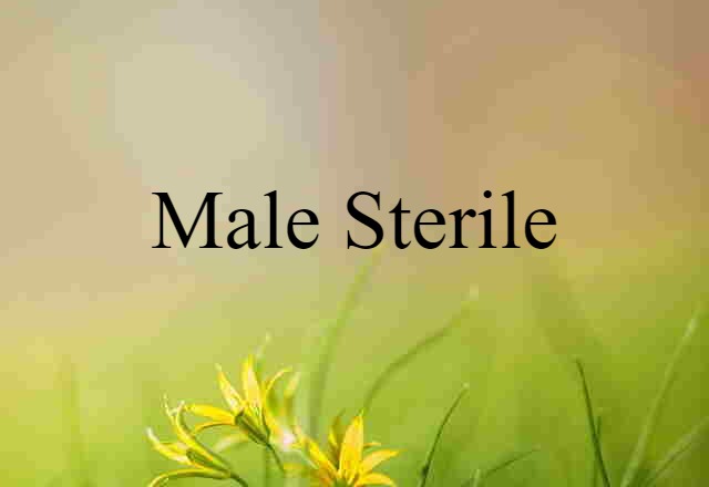 Male-sterile (noun) Definition, Meaning & Examples