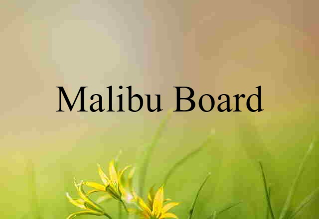 Malibu board