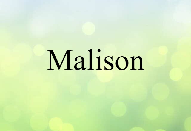 Malison (noun) Definition, Meaning & Examples