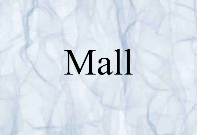 Mall (noun) Definition, Meaning & Examples