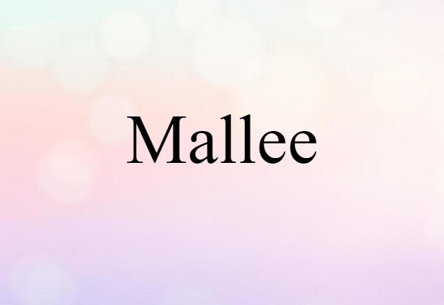 Mallee (noun) Definition, Meaning & Examples