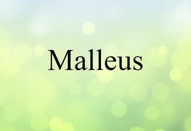 malleus