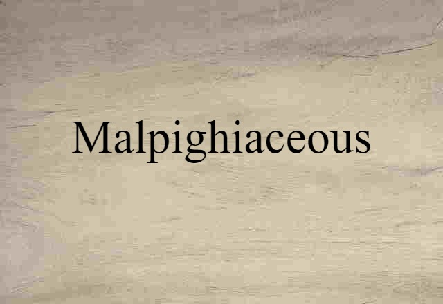 Malpighiaceous (noun) Definition, Meaning & Examples