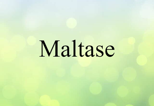 maltase