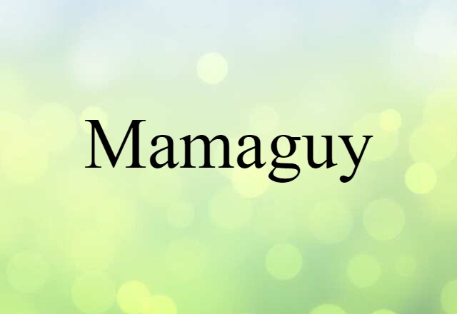 Mamaguy (noun) Definition, Meaning & Examples