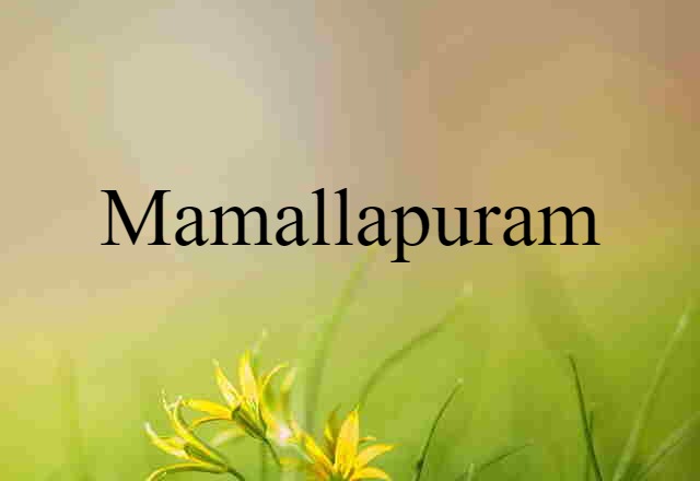 Mamallapuram (noun) Definition, Meaning & Examples