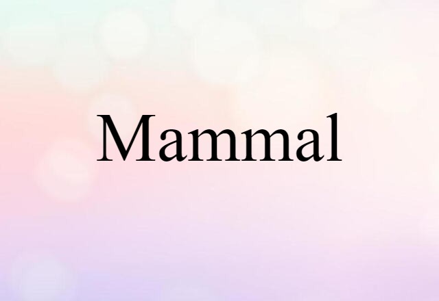 mammal