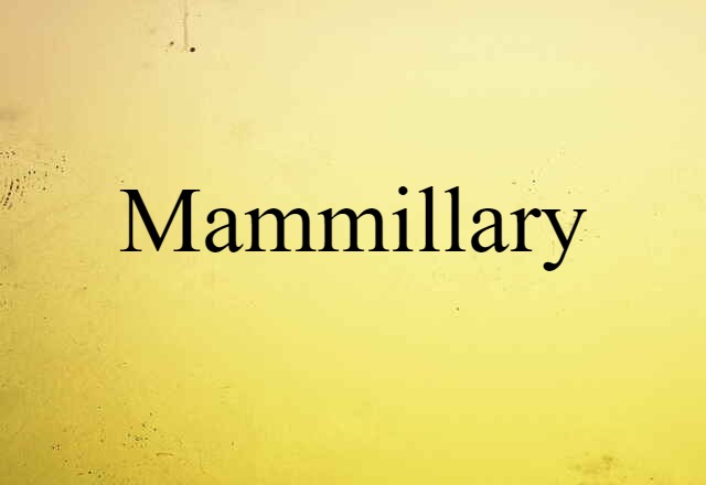 Mammillary (noun) Definition, Meaning & Examples