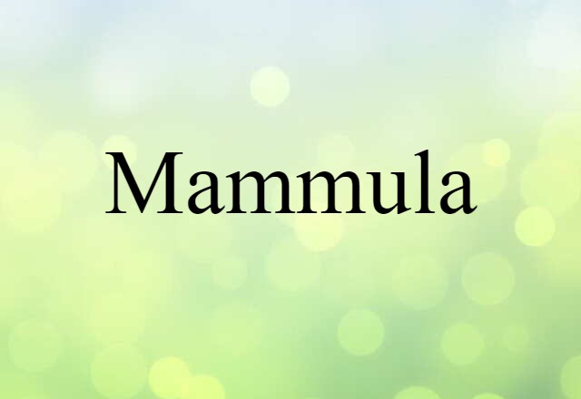 Mammula (noun) Definition, Meaning & Examples